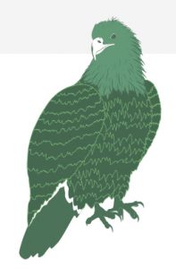 Green illustration of eagle