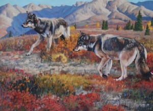 elk-wolves