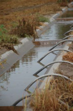One Irrigator’s Waste is Another’s Supply
