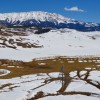 Elk paths melt out of the snow in late March at the Dell Creek feedground in the foothills of the Gros Ventre Mountains. Photo by Emilene Ostlind.