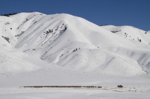 A snow-covered elk feedground in western Wyoming. Photo courtesy Mark Gocke/Wyoming Game and Fish Department.
