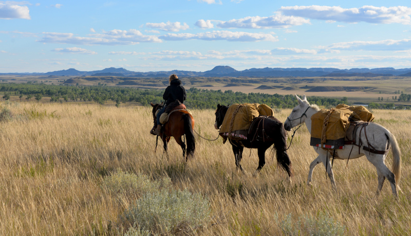 For their Rediscover the Prairie project, Robin Walter and Sebastian Tsocanos traveled 600 miles across Montana and Wyoming with four horses and a mule. Photo from RediscoverthePrairie.org.