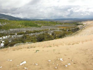 e North Sand Hills, a dune complex outside Walden, Colorado, are home to the state’s rarest plant, the boat-shaped bugseed.