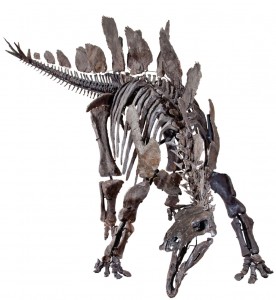 dinosaur-2