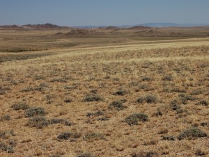 Tribes Tackle Drought