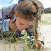 Botanist Emma Freeland pauses to sniff a half buried blowout penstemon in Wyoming. Photo by Bonnie Heidel