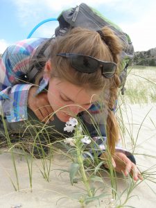 A young woman sniffs a pale lavendar blowout penstemon on a sand dune