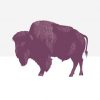 Purple drawing of a bison