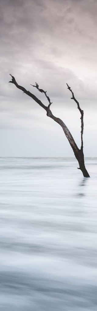 Photo of blackened dead tree sticking out of water on a stormy day