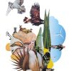 Animal collage with birds, sagegrouse, biker, windmills, and ungulates