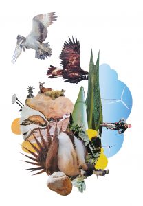 Animal collage with birds, sagegrouse, biker, windmills, and ungulates