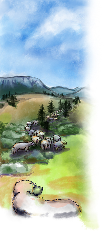 Watercolor of sheep in field with mountains in background