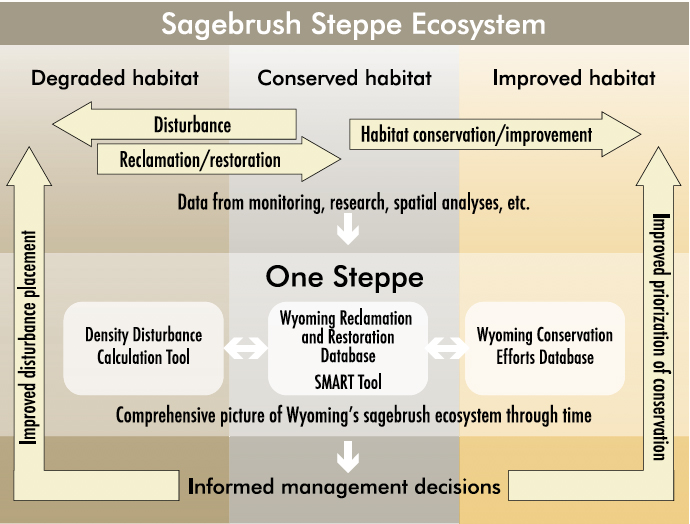 Infographic showing sagebrush steppe ecosystem through time