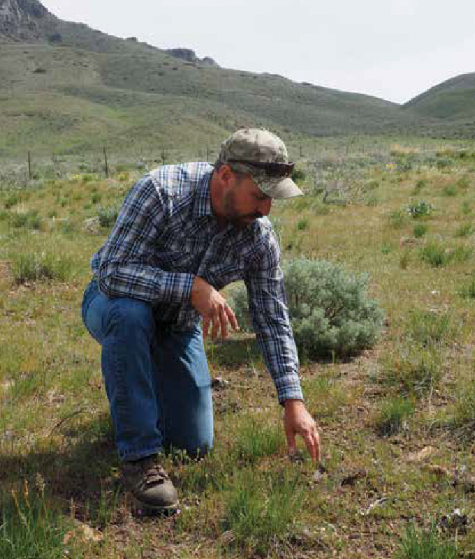Jeremy Maestas examines rangeland plants