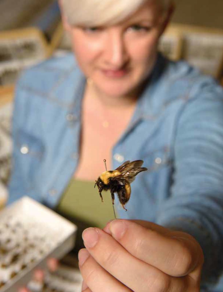 Christy Bell holding a bee