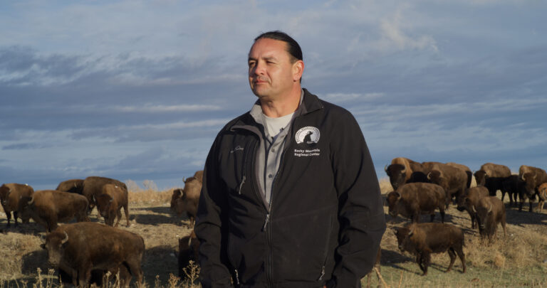 Jason Baldes in front of a bison herd