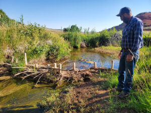 A man stands next to a structure spanning a river with sticks and mud woven between posts, acting like a dam. 