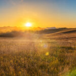 Sunrise and lens flare over a field in the Bighorn Mountain Range near Buffalo, Wyoming
