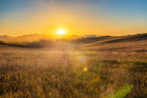 Sunrise and lens flare over a field in the Bighorn Mountain Range near Buffalo, Wyoming