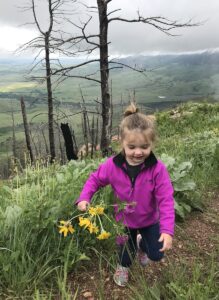 Little girl picking wildflowers along mountain trail.