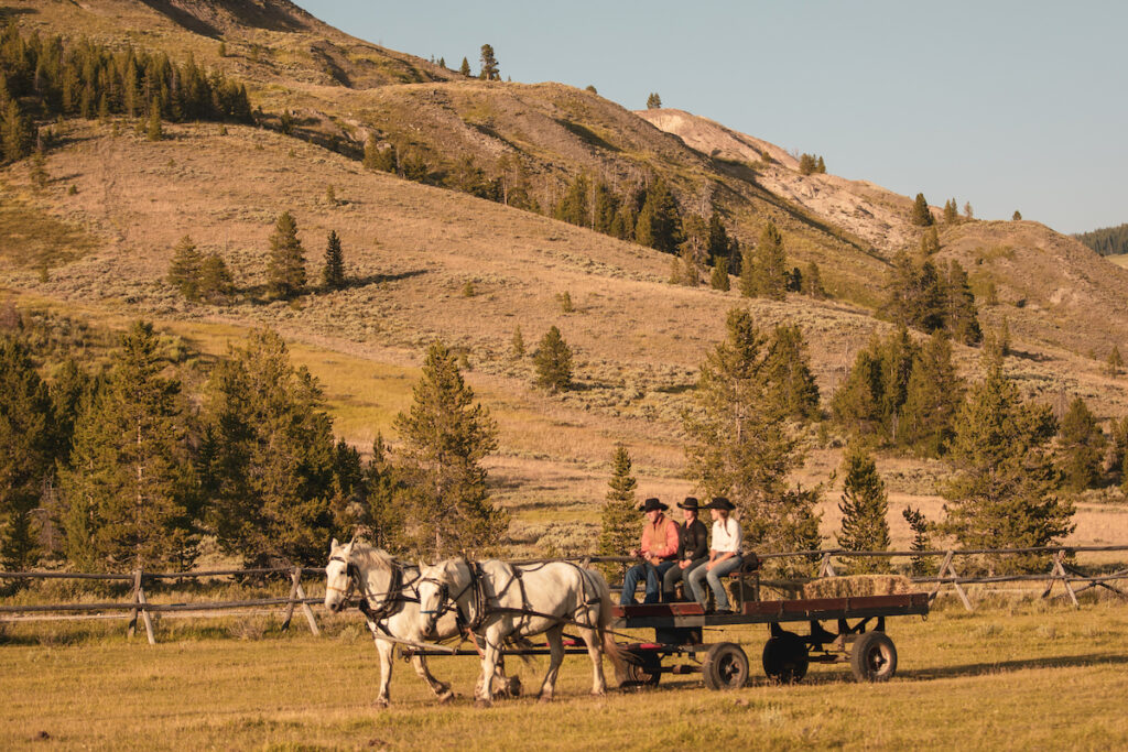Three people ride in a horse-drawn wagon in front of a wooden fence and treed hillside.