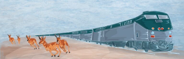 Illustration of pronghorn running alongside a bullet train.