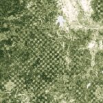 Editor’s Note – Issue 15