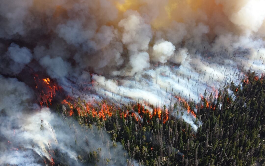 Fire at the Property Line