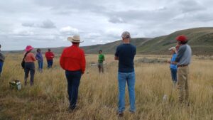 A group of people stand circled up in a golden, grassy field with stormy skies overhead.