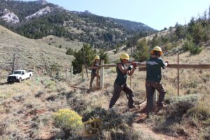 People in hard hats work on a fence in rolling sagebrush country with forested hills in the background.