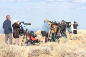 A cluster of people, many of which are equipped with spotting scopes on tripods, look out of the frame to the right.