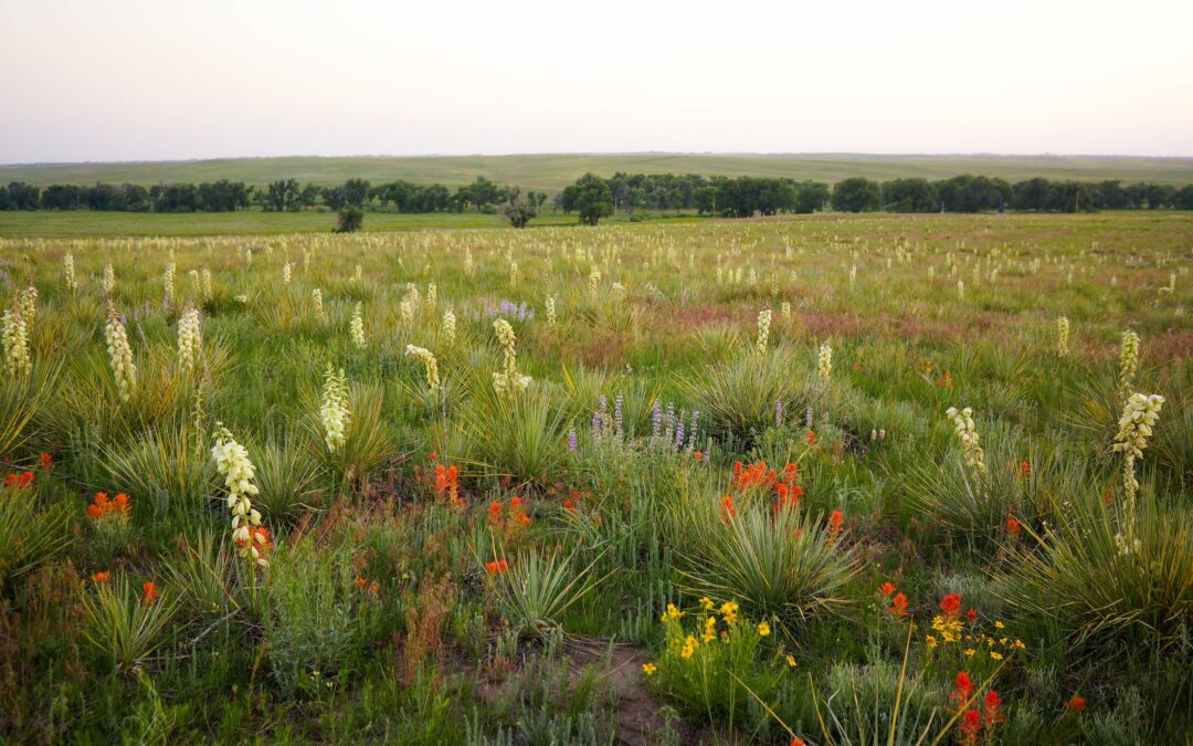 For the Beneficiaries