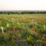 For the Beneficiaries