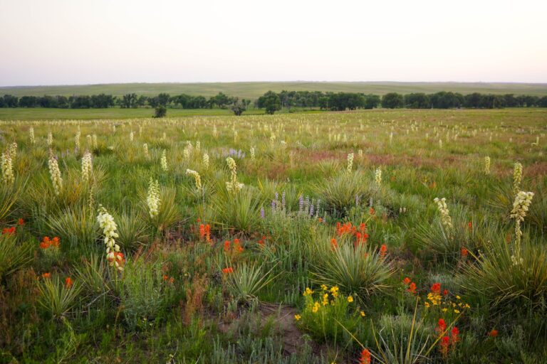 For the Beneficiaries