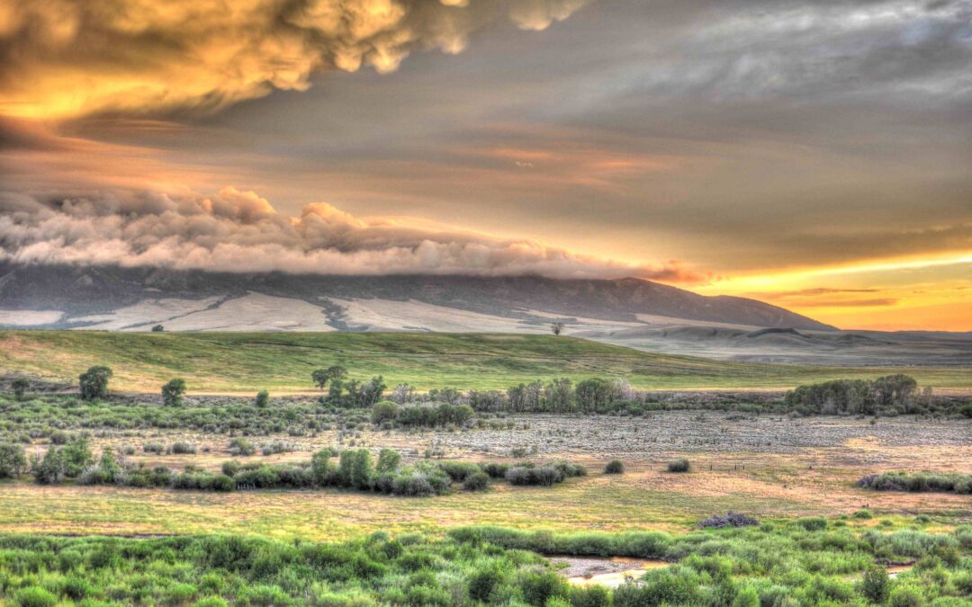 To Cross or Not to Cross