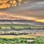 To Cross or Not to Cross