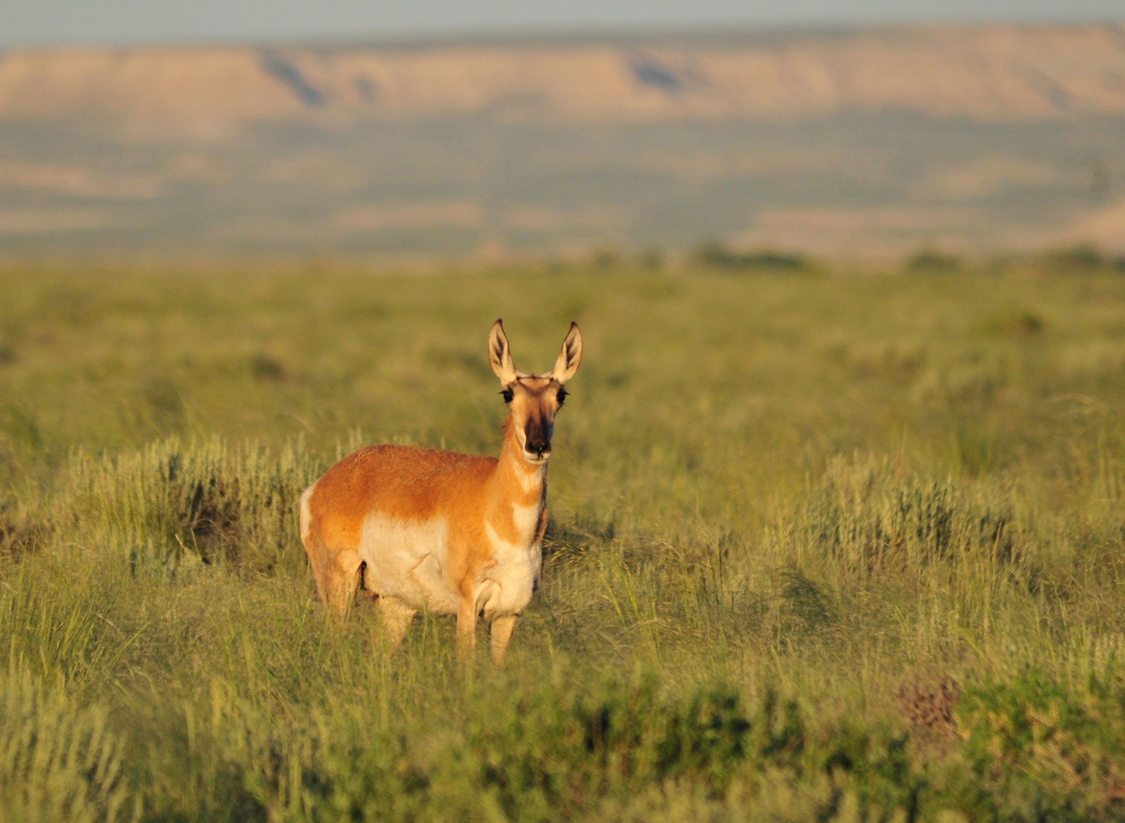 Fragmented Jurisdiction